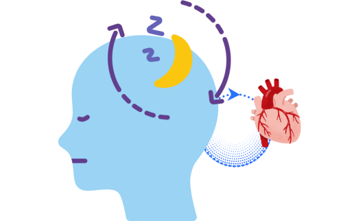 اضطرابات القلب والأوعية الدموية تحدث أثناء النوم