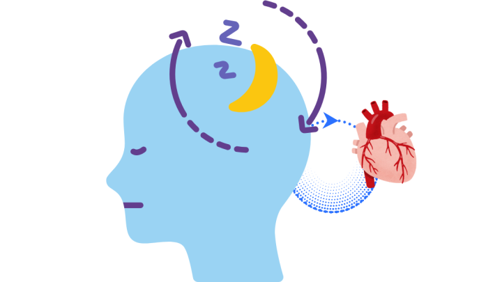 اضطرابات القلب والأوعية الدموية تحدث أثناء النوم