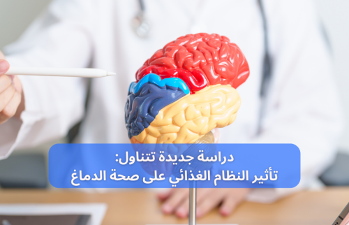 صحة الدماغ … دراسة جديدة تتناول تأثير النظام الغذائي عليها
