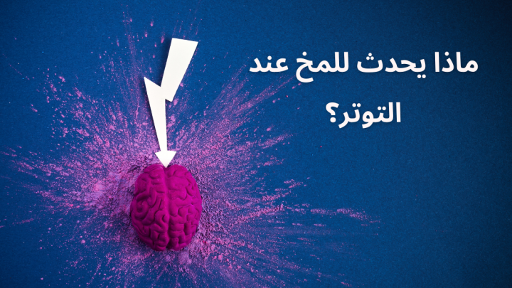 ماذا يحدث للمخ عند التوتر؟