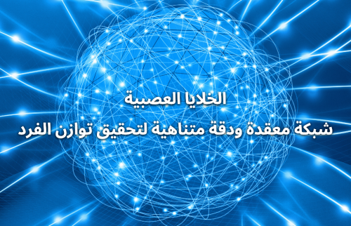 الخلايا العصبية شبكة معقدة ودقة متناهية لتحقيق توازن الفرد
