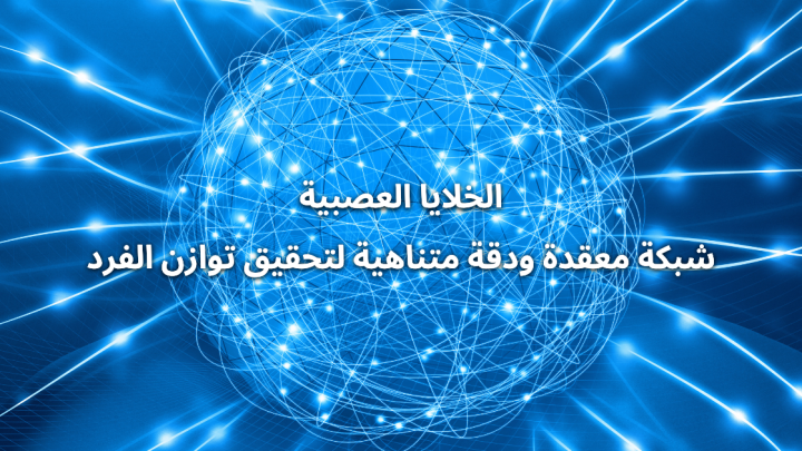 الخلايا العصبية شبكة معقدة ودقة متناهية لتحقيق توازن الفرد
