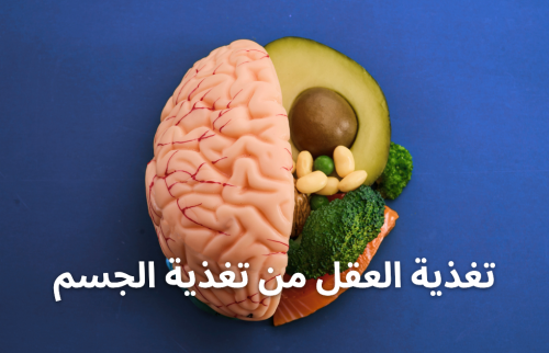 تغذية العقل من تغذية الجسم