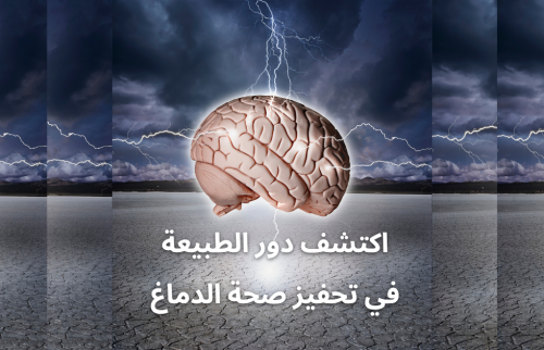 اكتشف دور الطبيعة في تحفيز صحة الدماغ