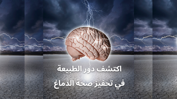 اكتشف دور الطبيعة في تحفيز صحة الدماغ