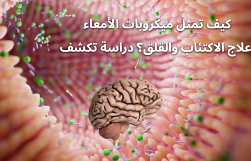 كيف تمثل ميكروبات الأمعاء علاج الاكتئاب و القلق ؟ دراسة تكشف