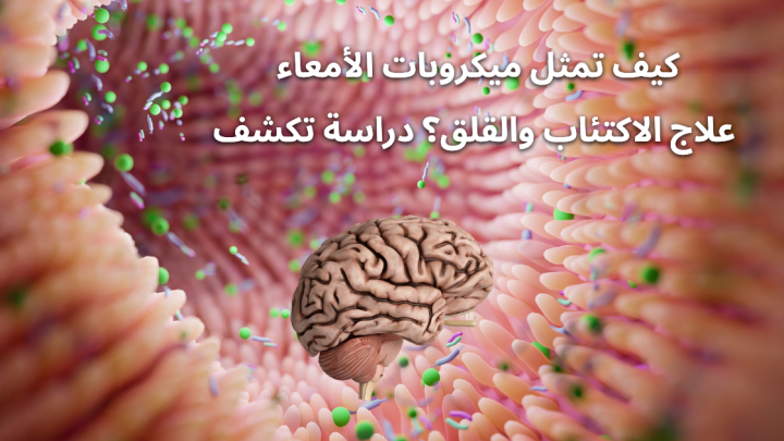 كيف تمثل ميكروبات الأمعاء علاج الاكتئاب و القلق ؟ دراسة تكشف