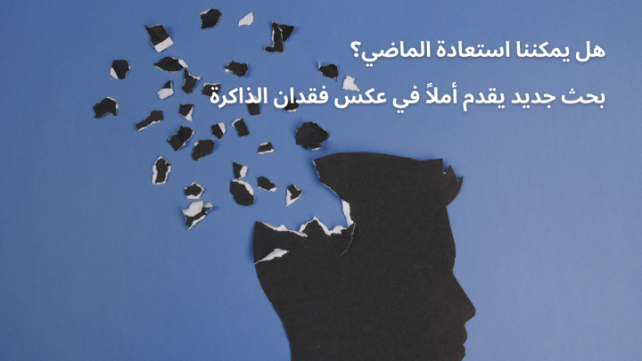 هل يمكننا استعادة الماضي؟ بحث جديد يقدم أملاً في عكس فقدان الذاكرة