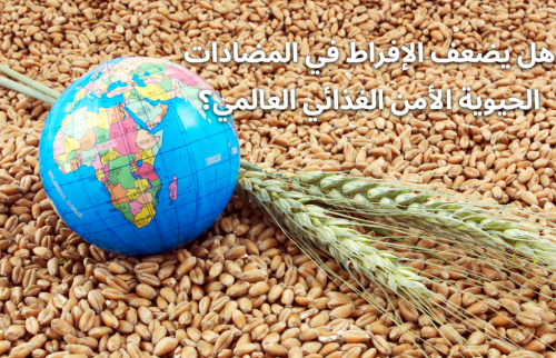 هل يضعف الإفراط في المضادات الحيوية الأمن الغذائي العالمي؟
