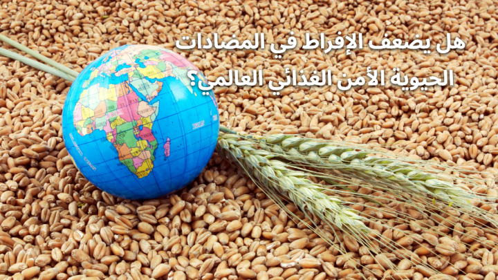 هل يضعف الإفراط في المضادات الحيوية الأمن الغذائي العالمي؟