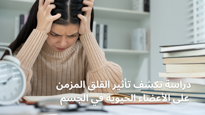 دراسة تكشف تأثير القلق المزمن على الأعضاء الحيوية في الجسم