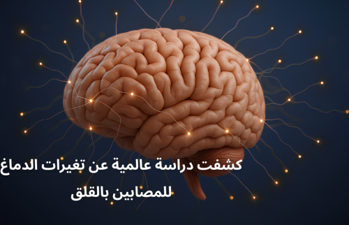 كشفت دراسة عالمية عن تغييرات الدماغ الهيكلية للمصابين بالقلق