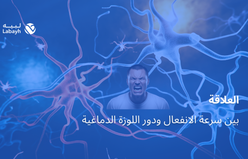 العلاقة بين سرعة الانفعال ودور اللوزة الدماغية