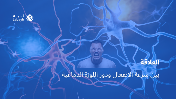 العلاقة بين سرعة الانفعال ودور اللوزة الدماغية