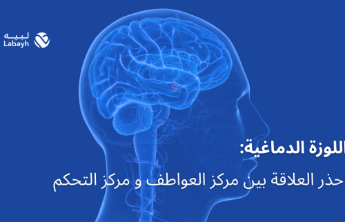اللوزة الدماغية: احذر العلاقة بين مركز العواطف و مركز التحكم