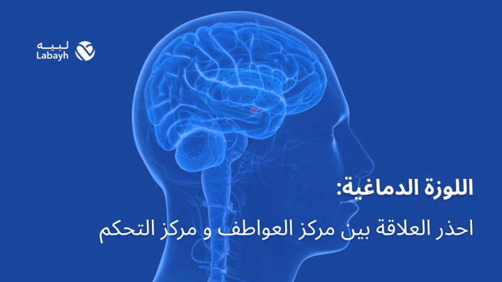 اللوزة الدماغية: احذر العلاقة بين مركز العواطف و مركز التحكم